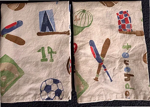 2 Pottery Barn Kids My Favorite Sports Cotton Percale Standard Size Pillowcases