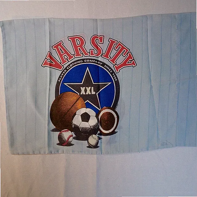 HOLLANDER SPORTS THEME PILLOWCASE USA